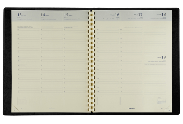 agenda, planner, notebook, ring bound, calendar