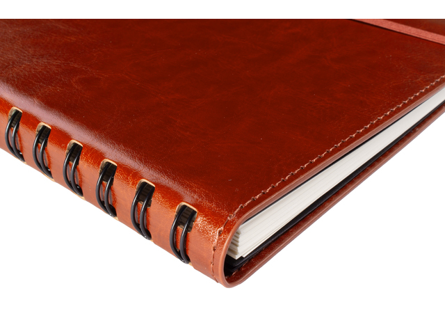 notebook, binder, ringed, leather, brown
