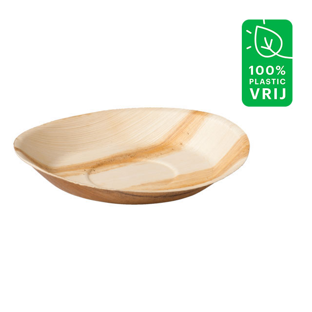 Biodore Bord rond 22cm Palmblad doos 100 stuks