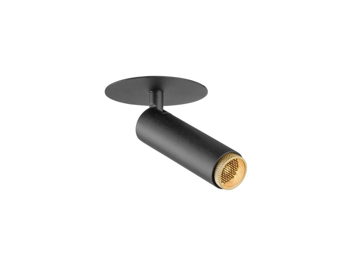 spotlight, track light, black, gold grille, ceiling mount