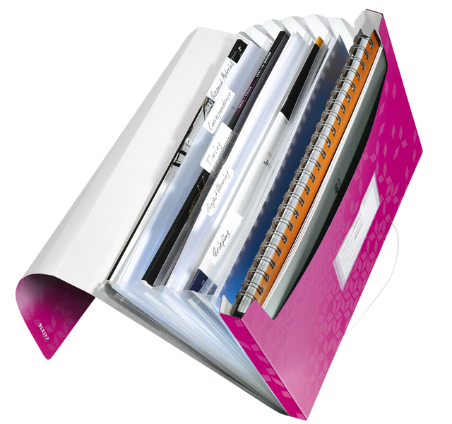 Projectmap Leitz WOW voor A4 6 vaks PP roze
