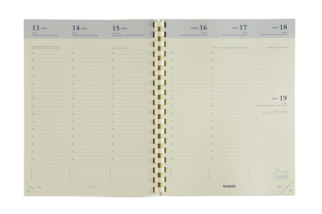 agenda, planner, week view, ring-bound, notebook