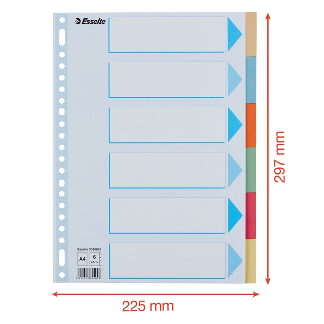 Tabbladen Esselte Premium A4 6-delig karton 23-rings assorti