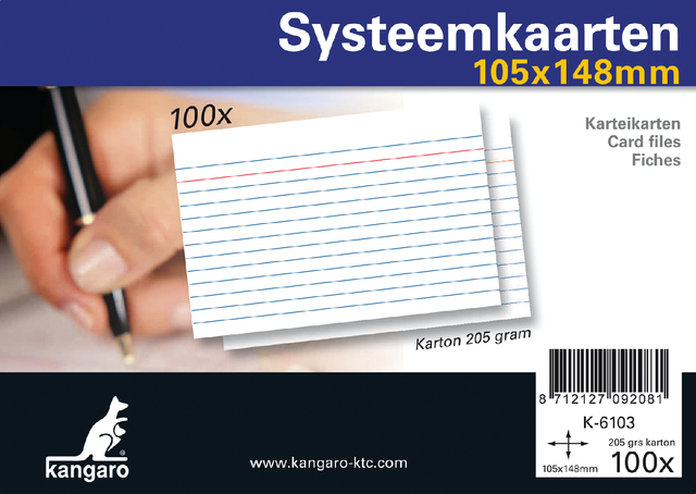 Systeemkaarten A6 105x148mm 100 stuks Systeemkaarten A6 105x148mm 100 stuks