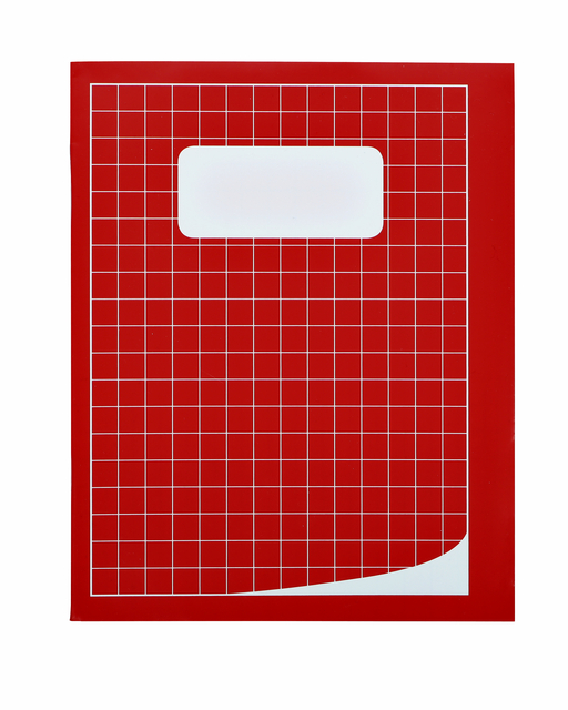 Schrift Qbasic 210x165mm ruit 10mm 80blz 70gr assorti Schrift Qbasic 210x165mm ruit 10mm 80blz 70gr assorti