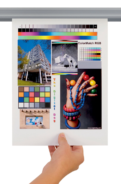 Wandrail Djois Jalemagrip 340mm incl magneetbevestiging grijs Wandrail Djois Jalemagrip 340mm incl magneetbevestiging grijs