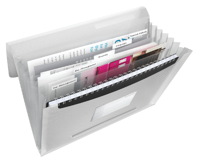 Projectmap Esselte Vivida A4 6 vakken PP wit Projectmap Esselte Vivida A4 6 vakken PP wit