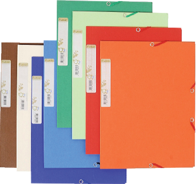 Elastomap Exacompta Forever A4 3 kleppen 380gr assorti Elastomap Exacompta Forever A4 3 kleppen 380gr assorti