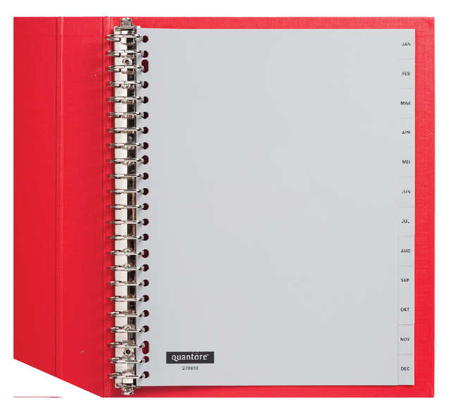 Tabbladen Quantore 23-gaats 12-delig met maanden grijs PP Tabbladen Quantore 23-gaats 12-delig met maanden grijs PP