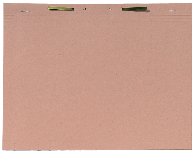 Binnenmap Djois folio met snelhechter 300gr chamois