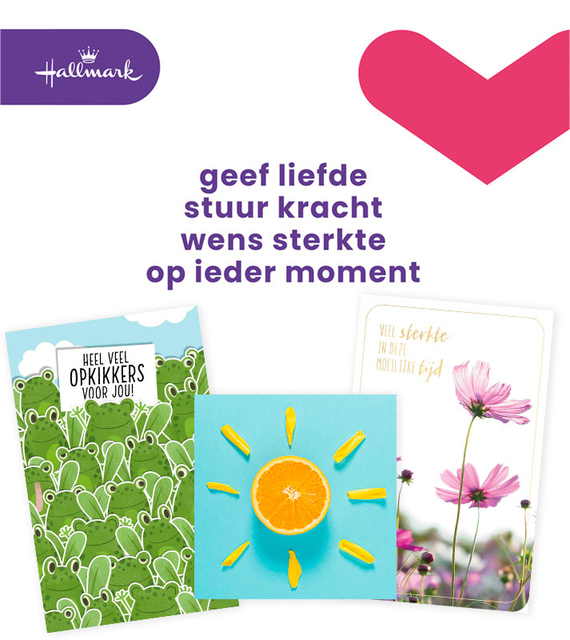 Wenskaart Hallmark navulset beterschap/sterkte 12 kaarten Wenskaart Hallmark navulset beterschap/sterkte 12 kaarten
