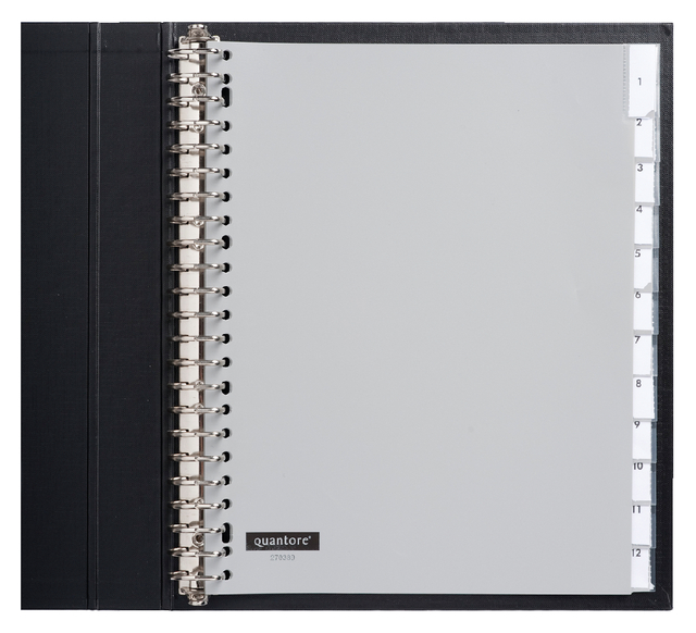 Tabbladen Quantore 23-gaats 12-delig+venster extra breed PP Tabbladen Quantore 23-gaats 12-delig+venster extra breed PP