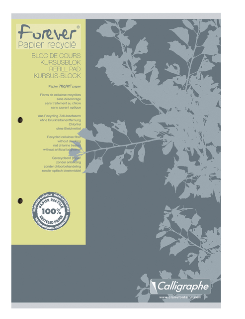 Cursusblok Clairefontaine Forever Calligraphe A4 ruit 5x5mm 2-gaats 200 pagina's 70gr grijs Cursusblok Clairefontaine Forever Calligraphe A4 ruit 5x5mm 2-gaats 200 pagina's 70gr grijs