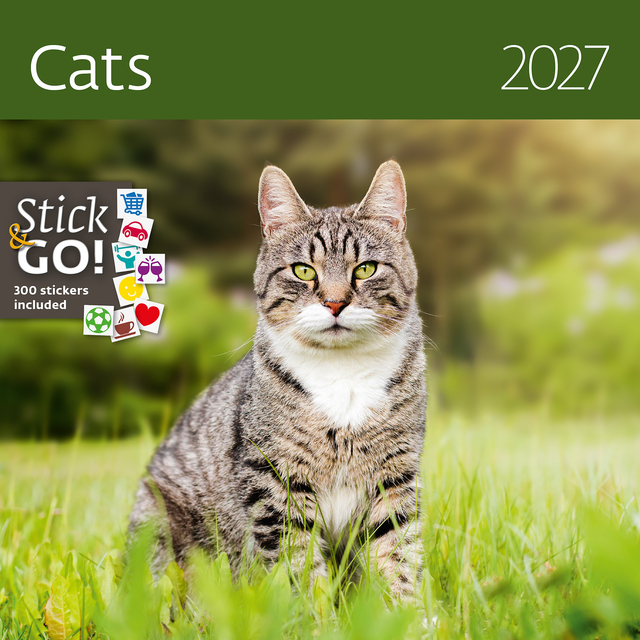 Kalender 2027 Helma 365 30x30cm katten