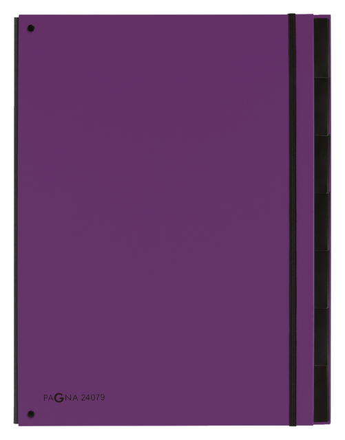 Sorteermap Pagna Trend A4 7 tabs lila Sorteermap Pagna Trend A4 7 tabs lila
