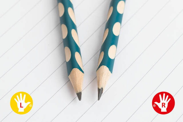 Potlood STABILO Easygraph grafiet 325 HB classpack à 48 stuks