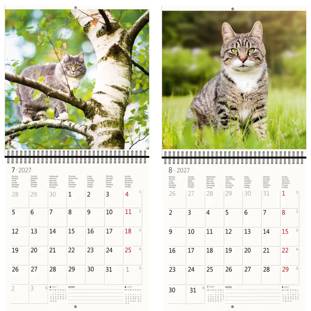 Kalender 2027 Helma 365 30x30cm katten