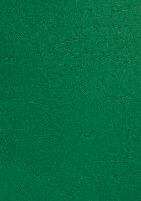 Voorblad GBC A4 lederlook groen 100 stuks Voorblad GBC A4 lederlook groen 100 stuks