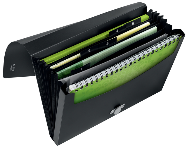 document organizer, file divider, letter organizer, binder, ring binder