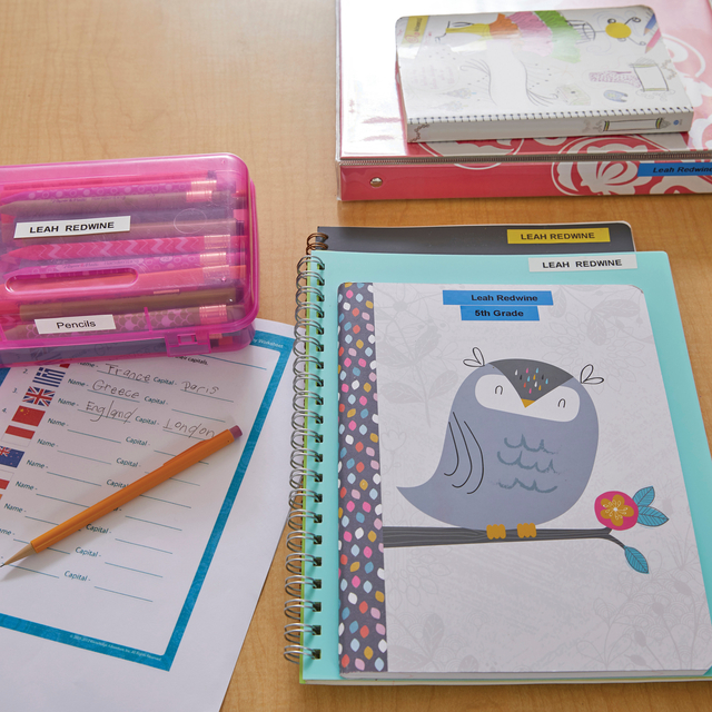 pencil case, pencils, notebook, owl illustration, school supplies