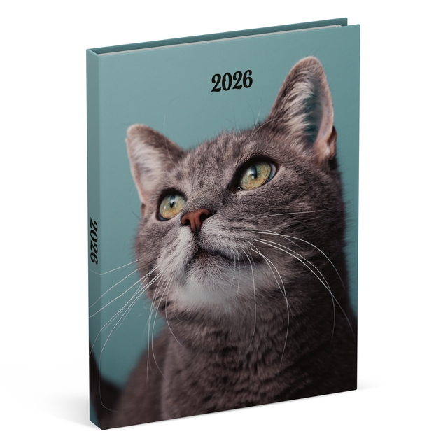 Agenda 2026 Lannoo 110x150 My favourite friends 7dagen/2pagina's cats Agenda 2026 Lannoo 110x150 My favourite friends 7dagen/2pagina's cats