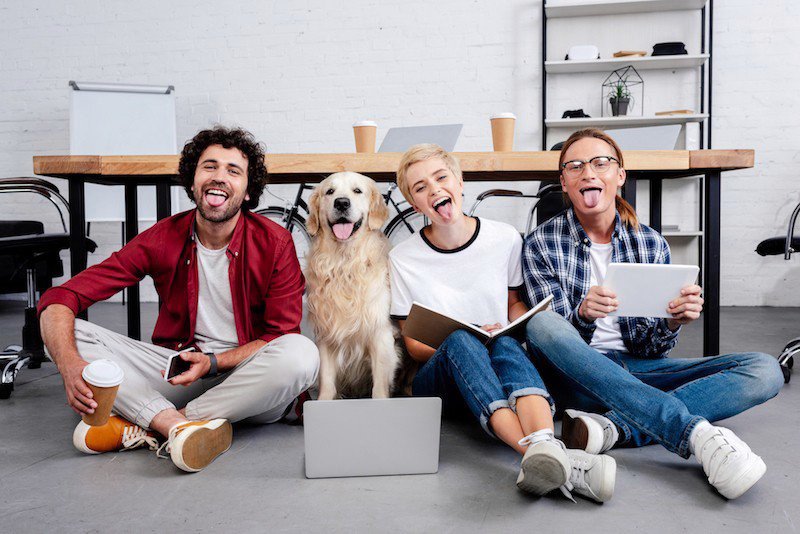 Ontdek waarom een kantoorhond zorgt voor minder stress en meer geluk Ontdek waarom een kantoorhond zorgt voor minder stress en meer geluk