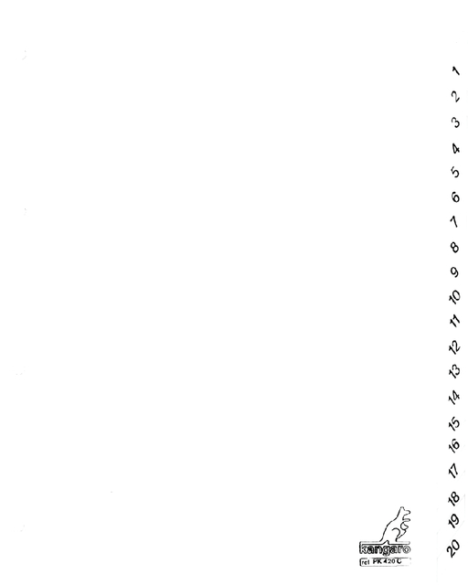 Tabbladen Kangaro 4-gaats PK420C 1-20 genummerd wit karton Tabbladen Kangaro 4-gaats PK420C 1-20 genummerd wit karton