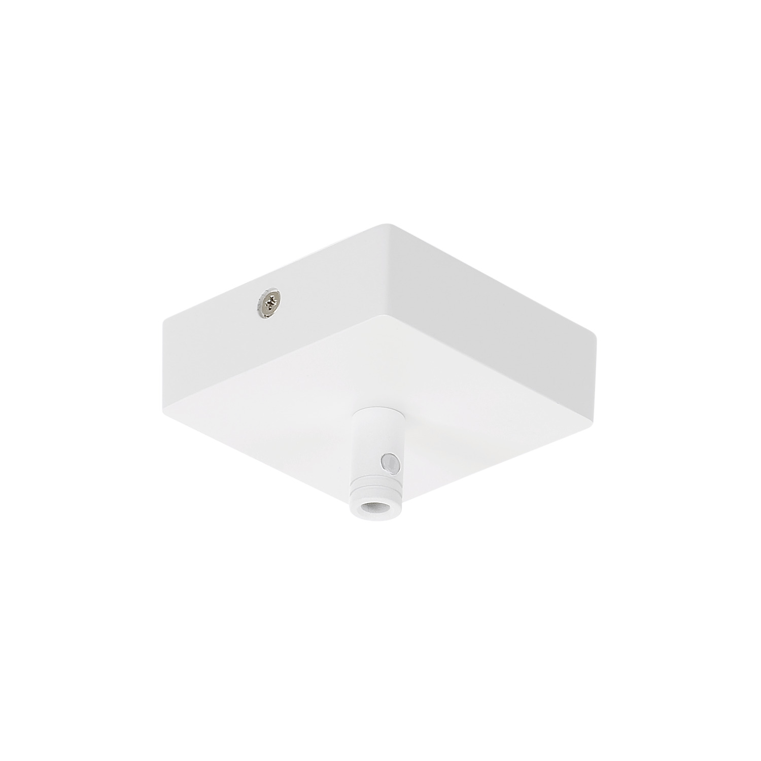 Plafondrozet GLENOS mat wit