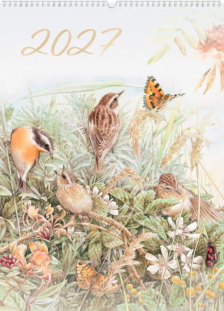 kalender, veertuin, vogels, natuur, vlinders
