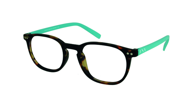 bril, brilletjes, tortoise kleur, tortoisepatroon, gekleurde montuur