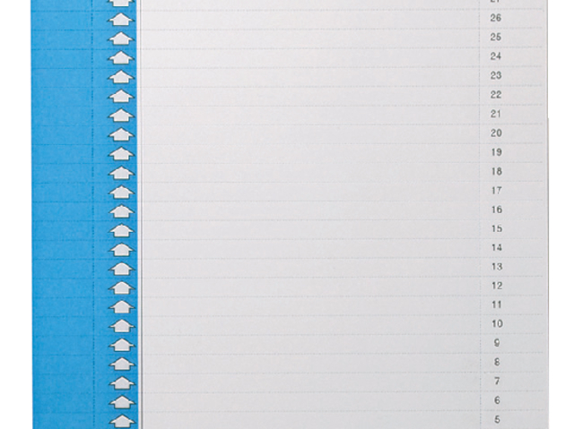 Ruiterstrook Elba Nr 9 157x7mm lateraal blauw 10 stuks Ruiterstrook Elba Nr 9 157x7mm lateraal blauw 10 stuks