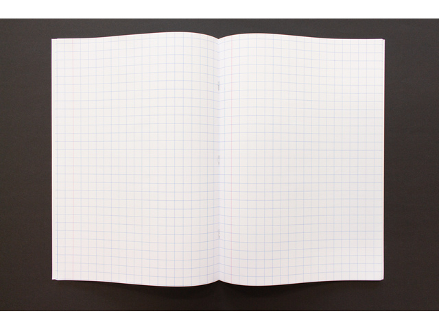 notitieboek, ogenschrift, grid-lijnen, wit-papier, open-boek