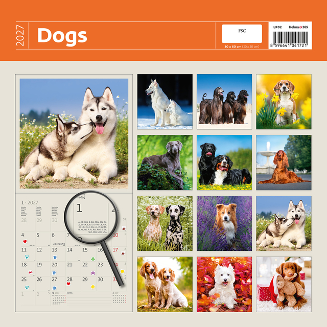 Kalender 2027 Helma 365 30x30cm honden