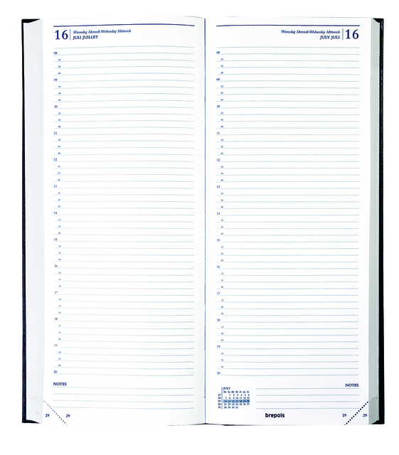planner, open notebook, two-page spread, datebook, lines