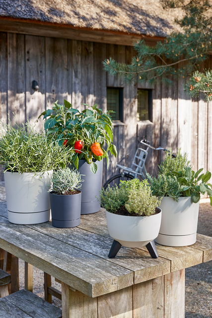 Plantenpot Mica Coco met schotel rond hoogte 29,5 Ø28 cm grijs