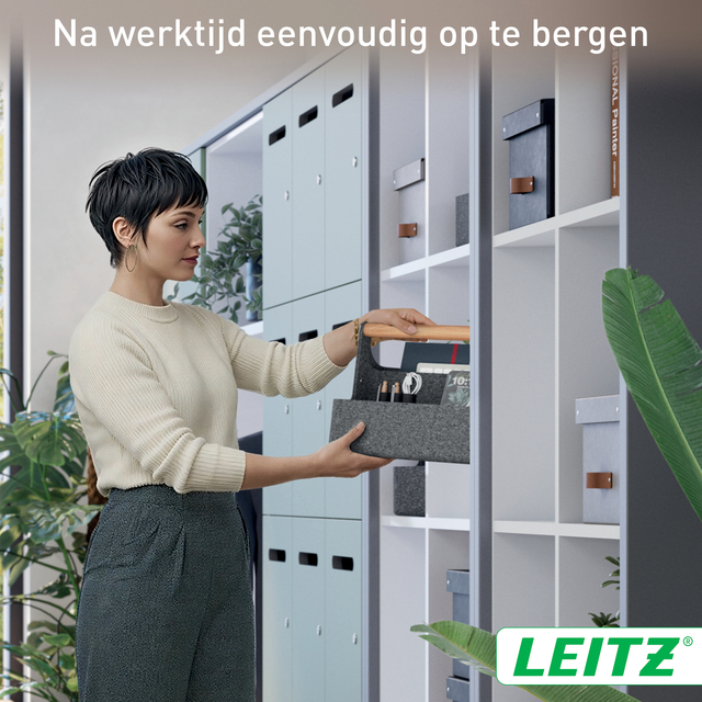 locker, locker storage, organization, mailbox, file box