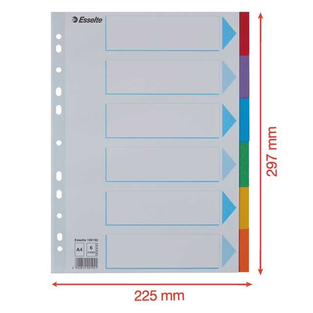 Tabbladen Esselte Standaard A4 6-delig karton 11-rings met voorblad assorti