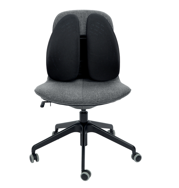Rugsteun Kensington smartfit zwart