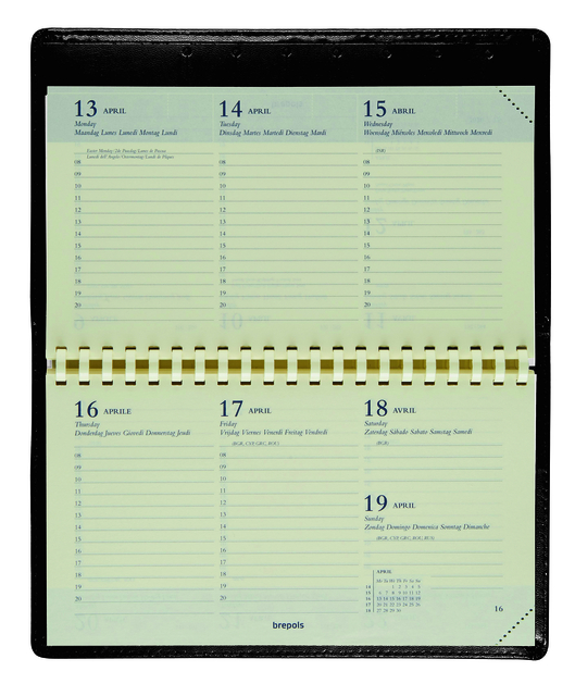 planner, calendar, weekly spread, datebook, spiral-bound