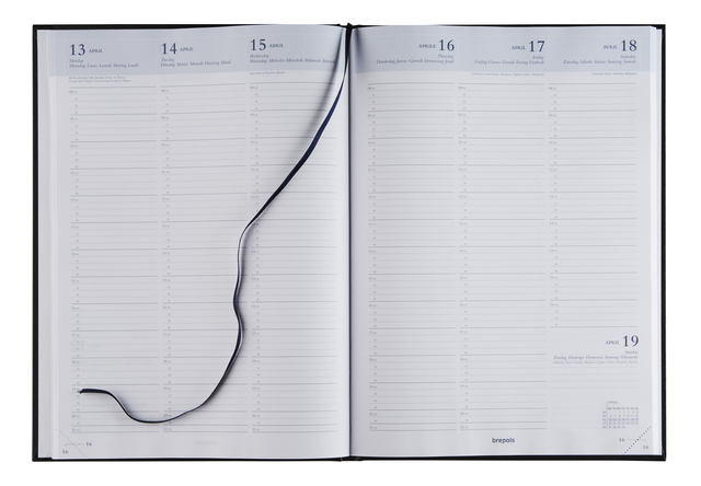 planner, open notebook, calendar, lining, spine cord