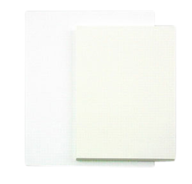 Tekenpapier Papyrus 50x65cm 200gr 100 vel Tekenpapier Papyrus 50x65cm 200gr 100 vel