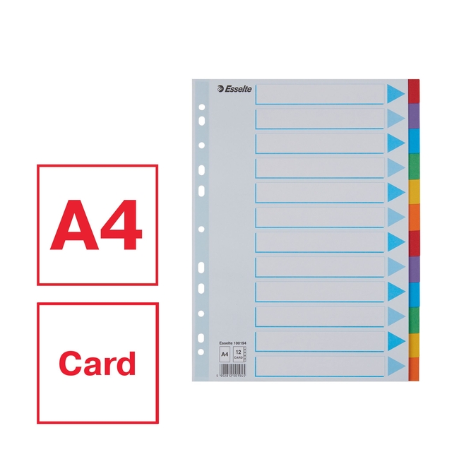 Tabbladen Esselte Standaard A4 12-delig karton 11-rings met voorblad assorti