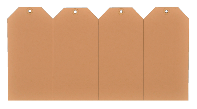 Label karton nr 8 200gr 70x140mm chamois 1000 stuks