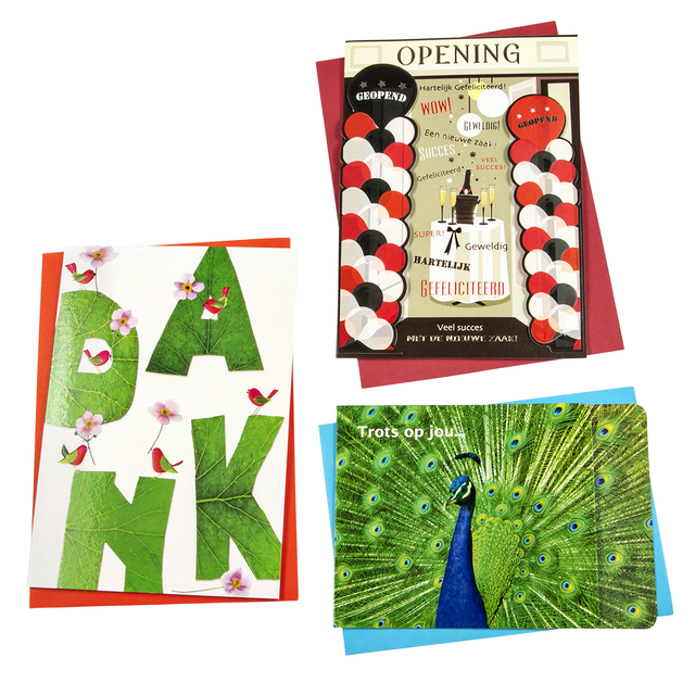 Wenskaart Paperclip navulset overig 12 kaarten Wenskaart Paperclip navulset overig 12 kaarten