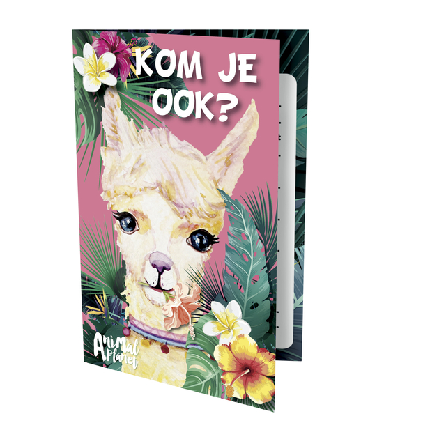 lammet, illustratie, wenskaart, tropisch, dieren