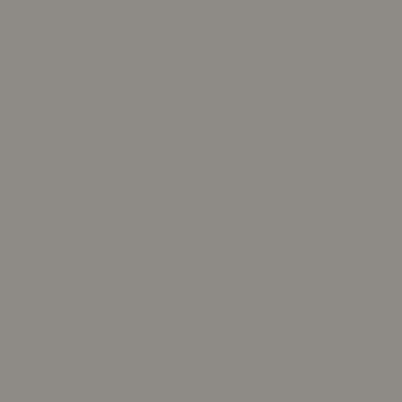 Duni Servet 24x24cm 1_4 vouw 2 laags Grijs doos 8x300 stuks