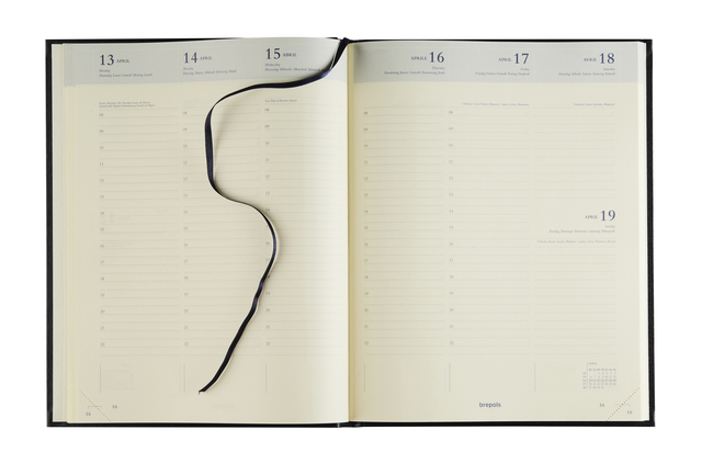 agenda, notitieboek, planners, lint, dagenboek
