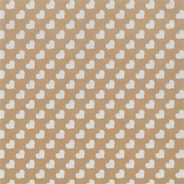 Inpakpapier Special Wrap 200mx70cm kraft assorti