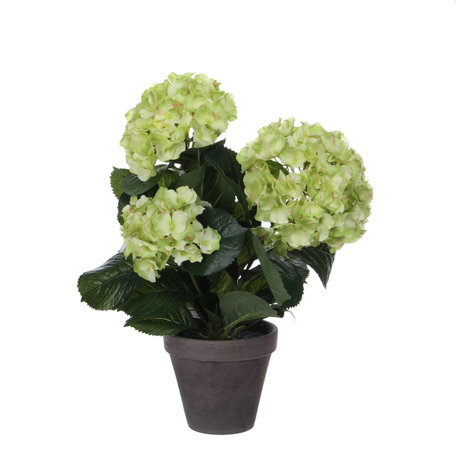 Kunstplant Mica Hortensia in pot groen Ø35 40cm