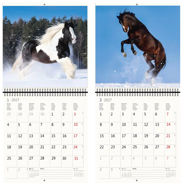 Kalender 2027 Helma 365 30x30cm paarden